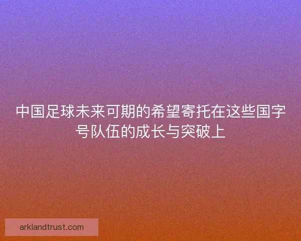 中国足球未来可期的希望寄托在这些国字号队伍的成长与突破上