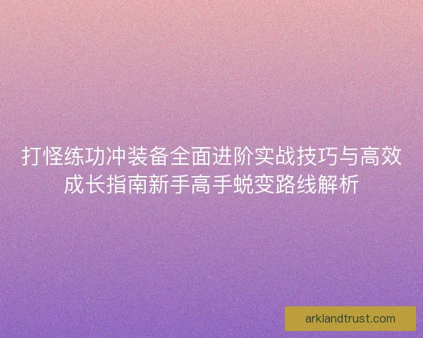 打怪练功冲装备全面进阶实战技巧与高效成长指南新手高手蜕变路线解析