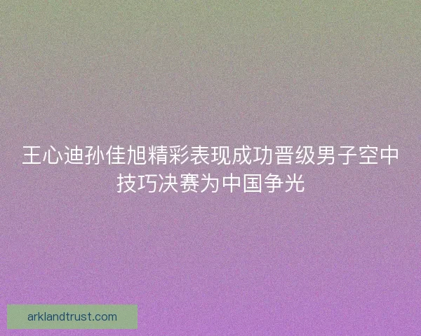 王心迪孙佳旭精彩表现成功晋级男子空中技巧决赛为中国争光