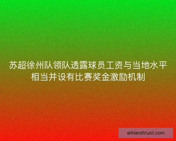 苏超徐州队领队透露球员工资与当地水平相当并设有比赛奖金激励机制